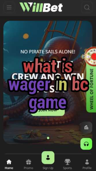 What is Wager in BC Game? Betting Terms Explained-bclionsgametimesaturday.vz72fvrf.com