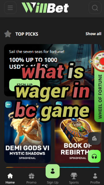 What is Wager in BC Game? Betting Terms Explained-bclionsgametimesaturday.vz72fvrf.com