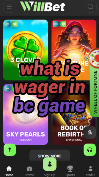 What is Wager in BC Game? Betting Terms Explained-bclionsgametimesaturday.vz72fvrf.com